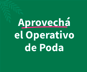 300x250_POSADAS_PODA