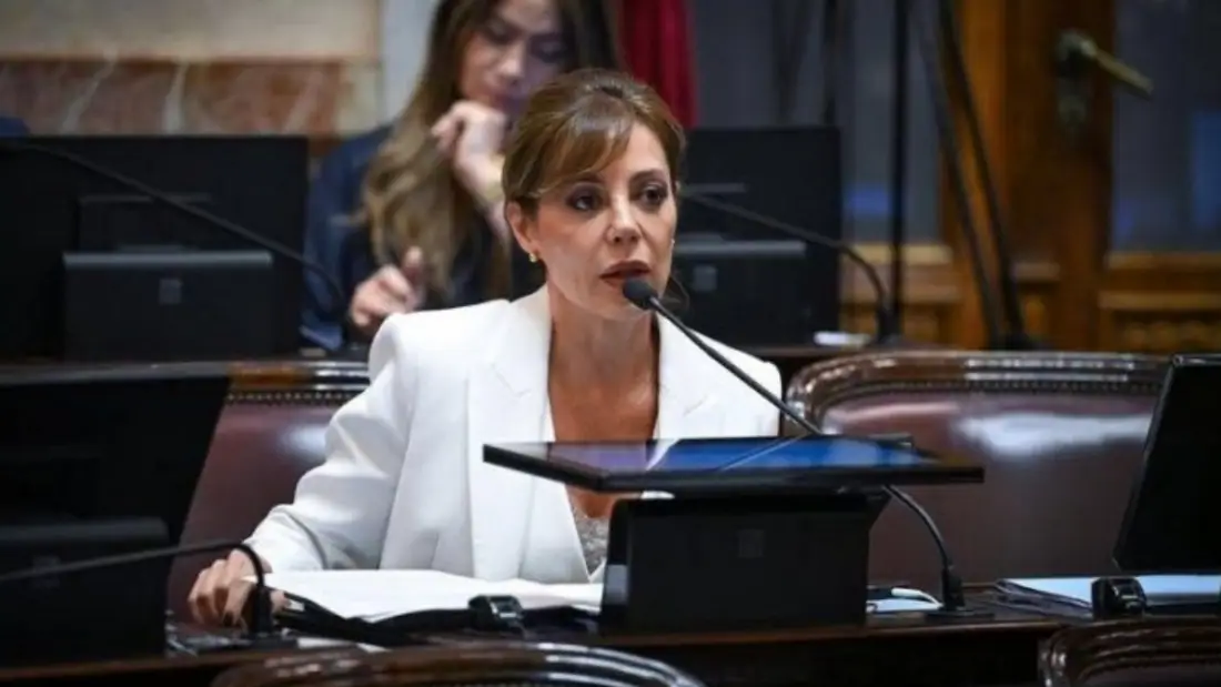 Ley de Glaciares: Denunciaron penalmente a Royón