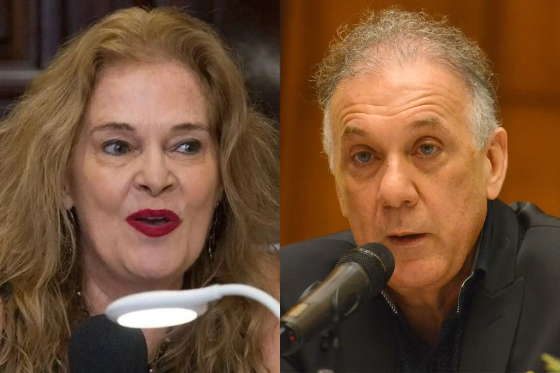 El extitular de Rentas pidió el juicio político contra la presidenta del STJ