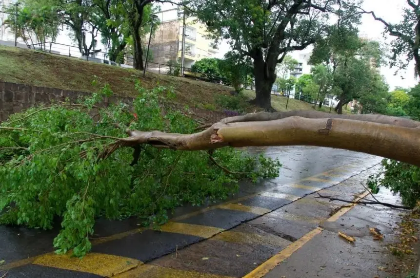Fuerte temporal causó daños en distintos puntos de Posadas