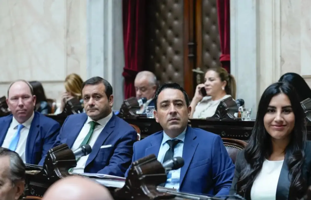 Diputados misioneros fijaron postura en el debate por la Ley de Imputabilidad