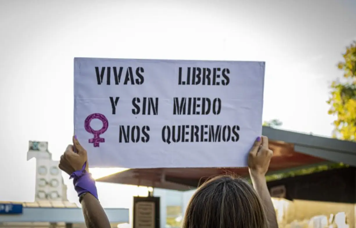 Cómo impactó el ajuste de Milei en las políticas de género