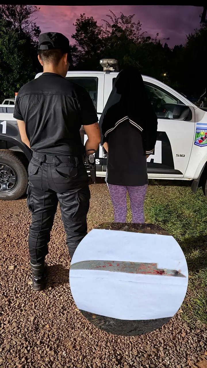 Fue a buscar a su expareja armada con un cuchillo
