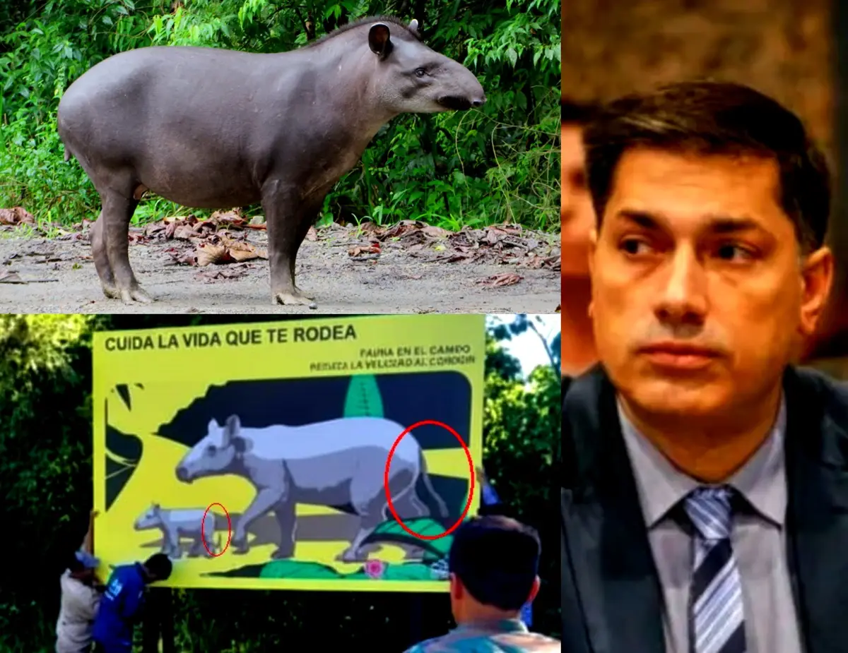 Insólita campaña para proteger a los “tapires” en Misiones