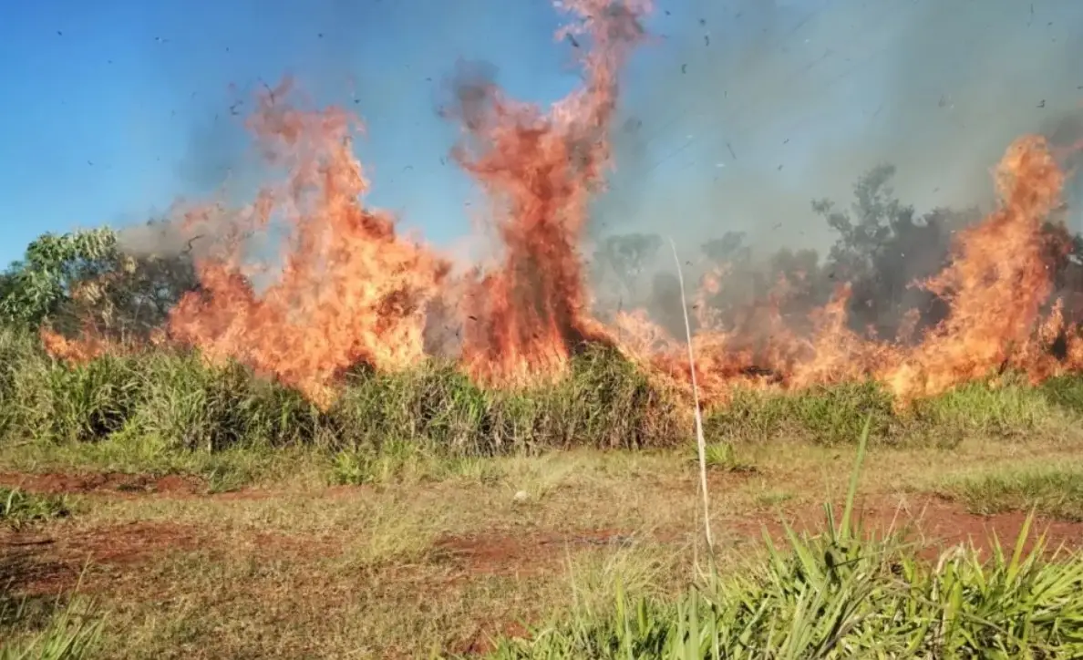 Incendio afectó 10 hectáreas cerca del peaje de Santa Ana