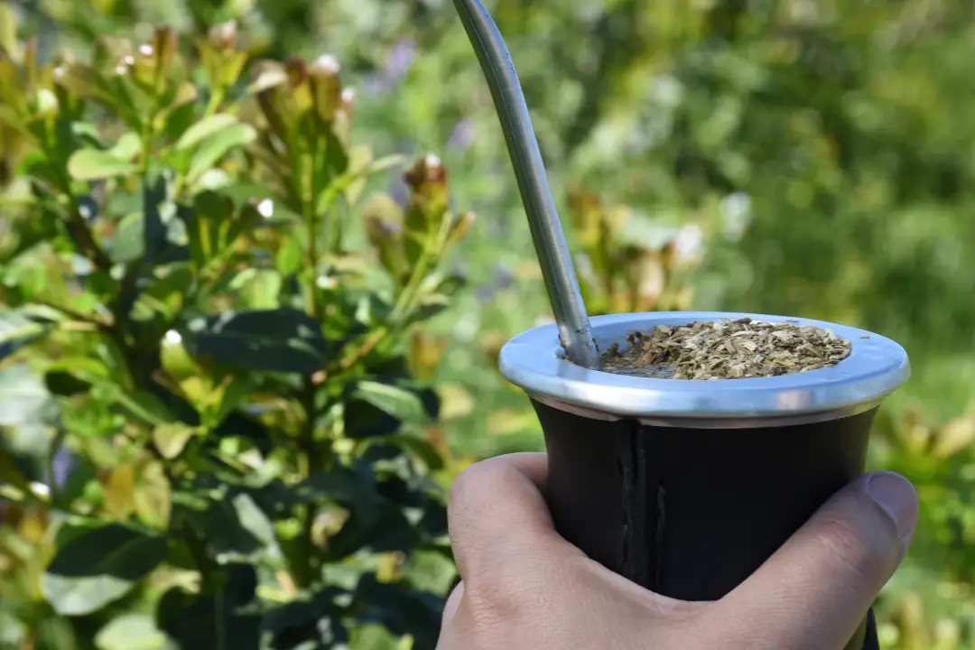 Yerba Mate: las ventas sumaron 135,6 millones de kilos en mayo