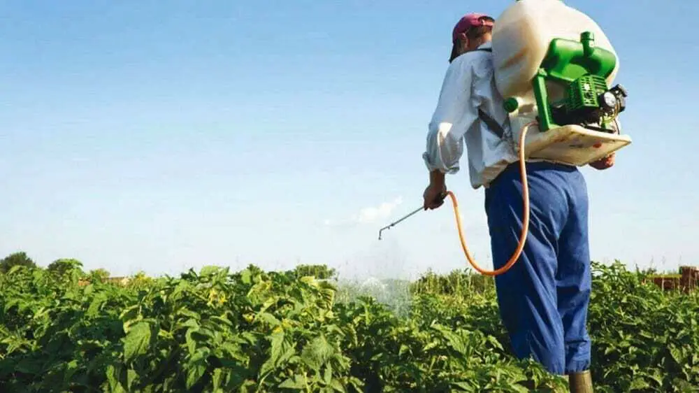 Misiones extendió los permisos para usar el glifosato indefinidamente