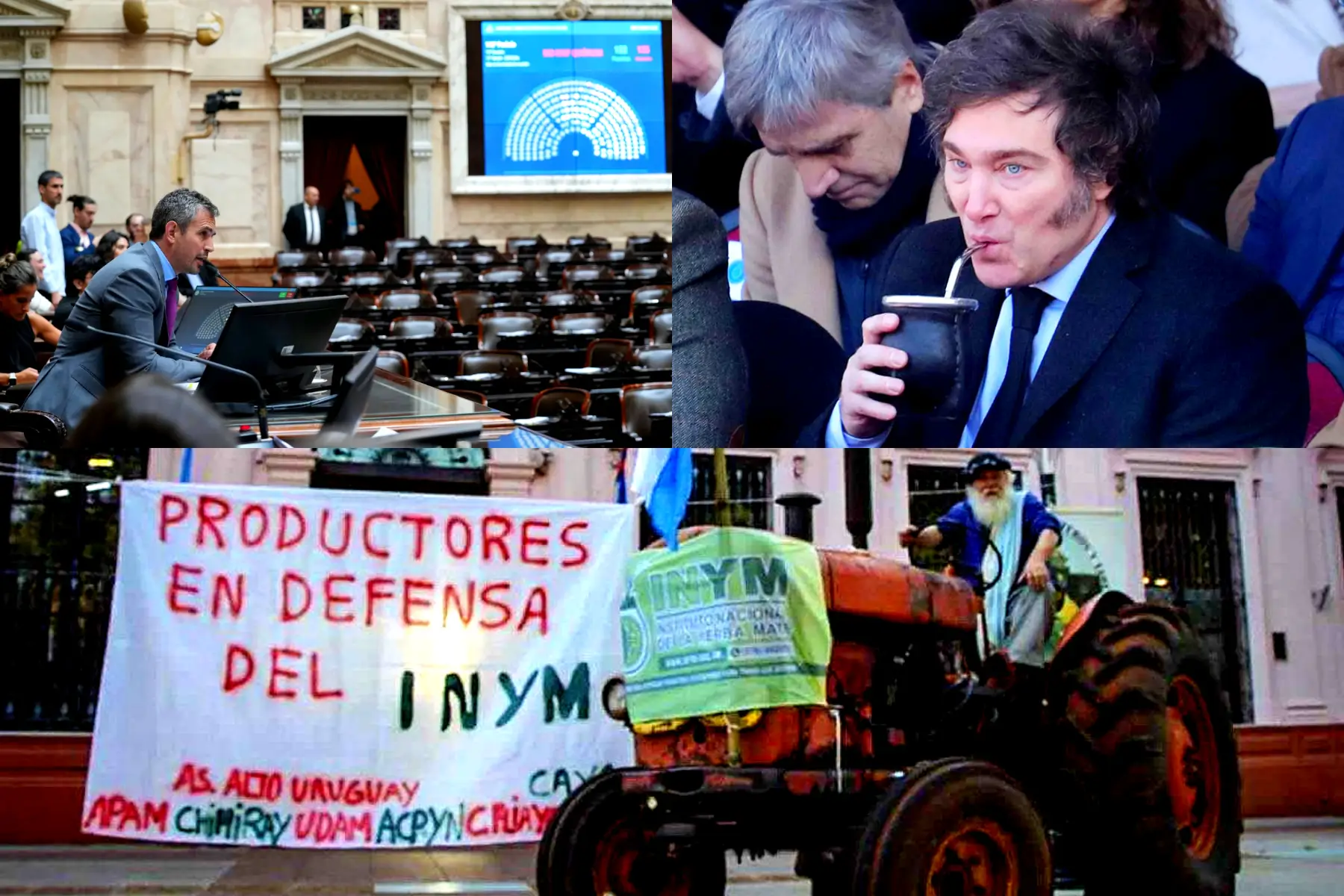 Explican por qué sigue vigente el DNU 70/23, que prácticamente desguazó al INYM