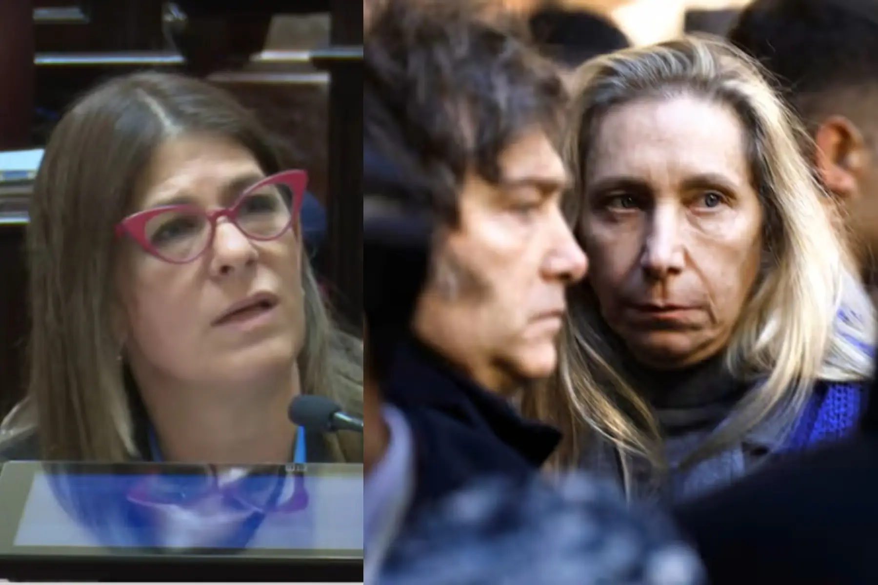 “La plata para esta ley sale del sobreprecio y la coima”