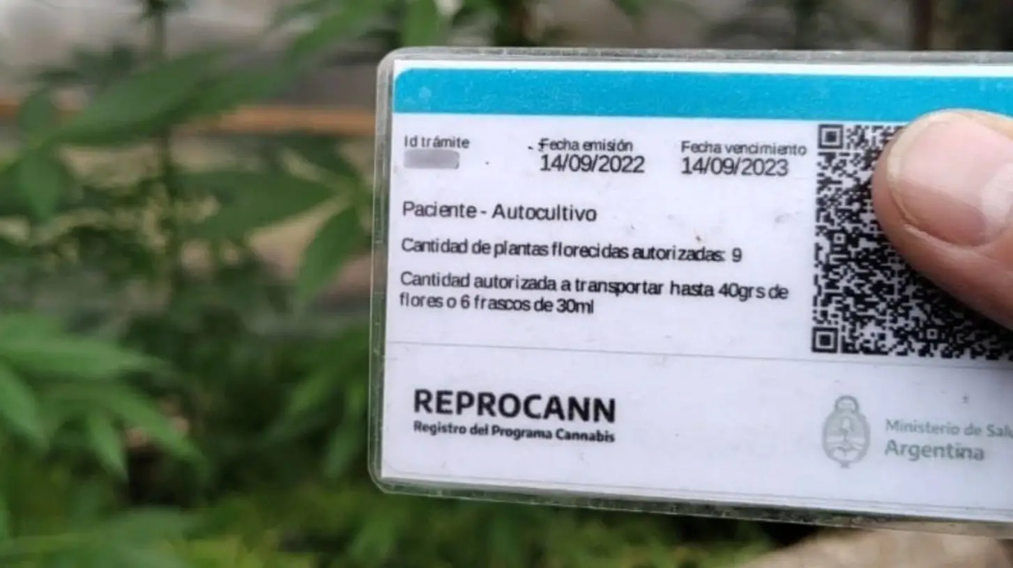 Modifican las reglas del cannabis medicinal y el Reprocann