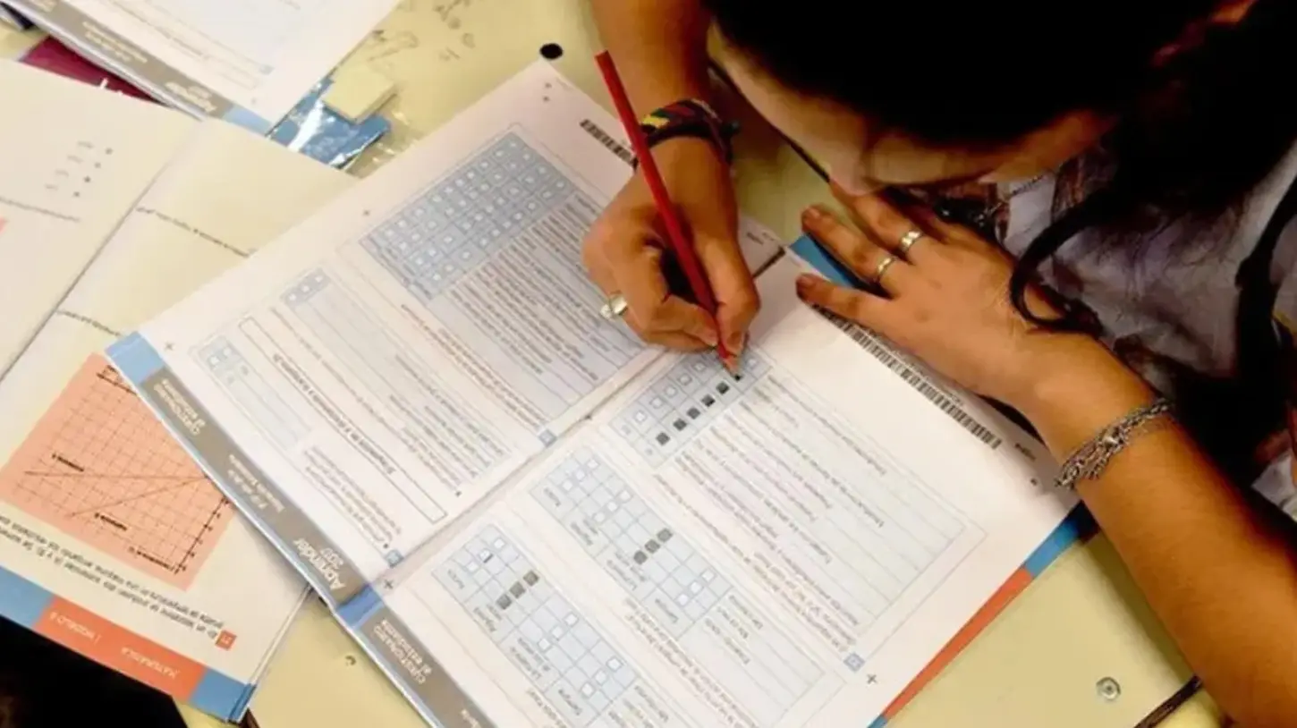 Aprender: más de la mitad de los estudiantes no alcanza niveles básicos en Matemática