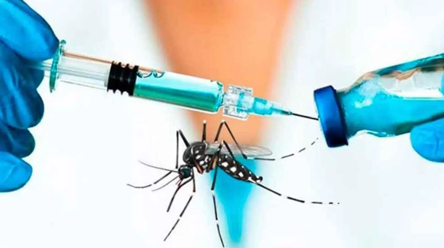Dengue: se inicia la campaña de vacunación para personas de 15 a 59 años