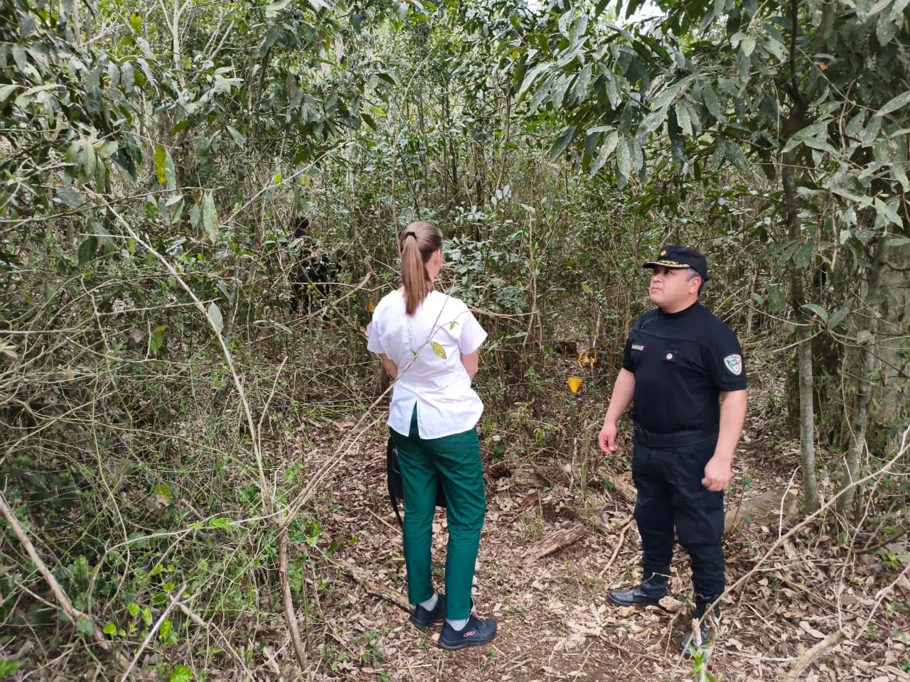 Investigan el hallazgo de restos humanos calcinados en Bernardo de Irigoyen
