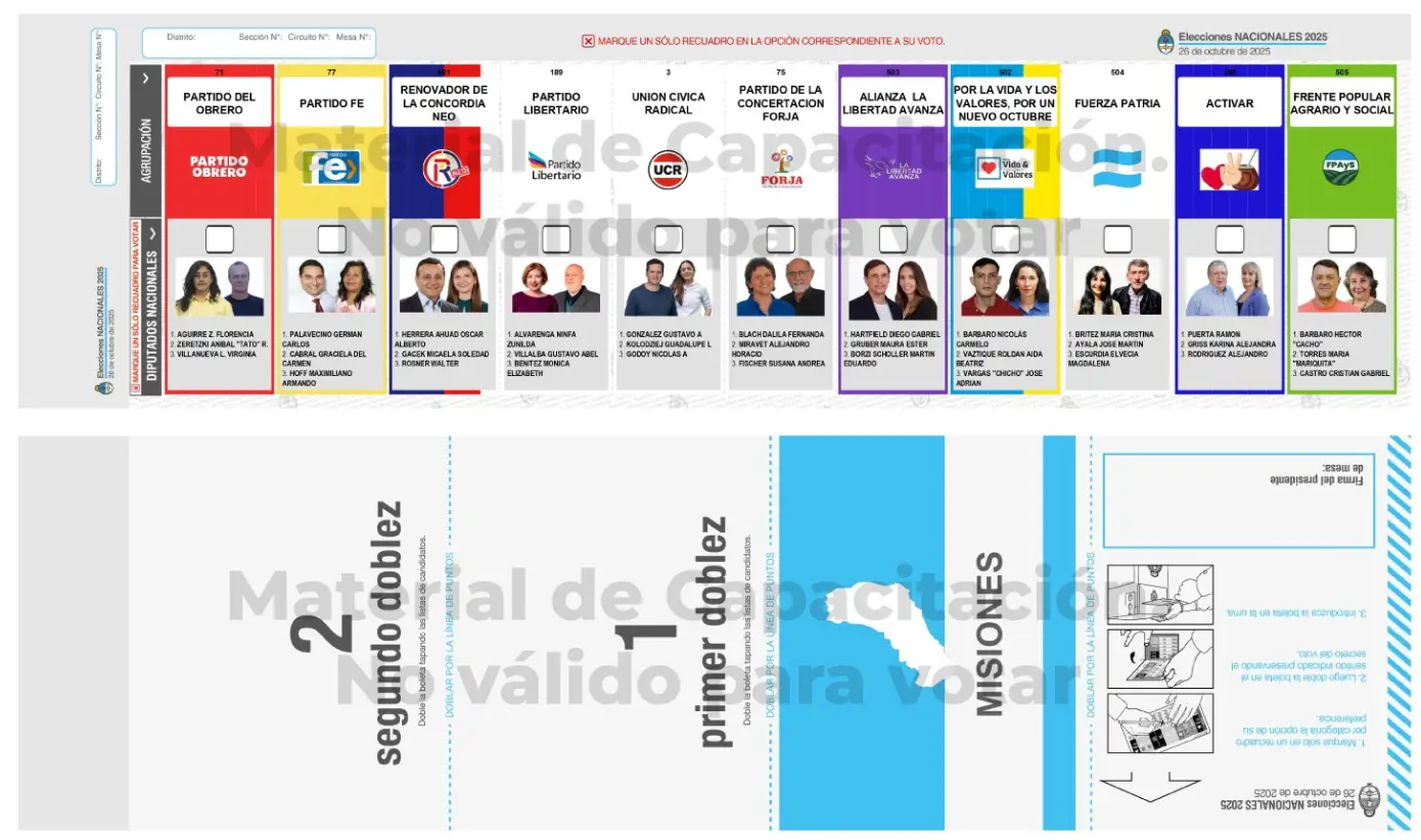 Elecciones 2025: horarios, resultados y todo lo que hay que saber