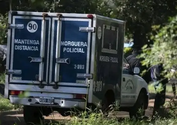 San Vicente: murió un hombre tras caerle un árbol mientras trabajaba