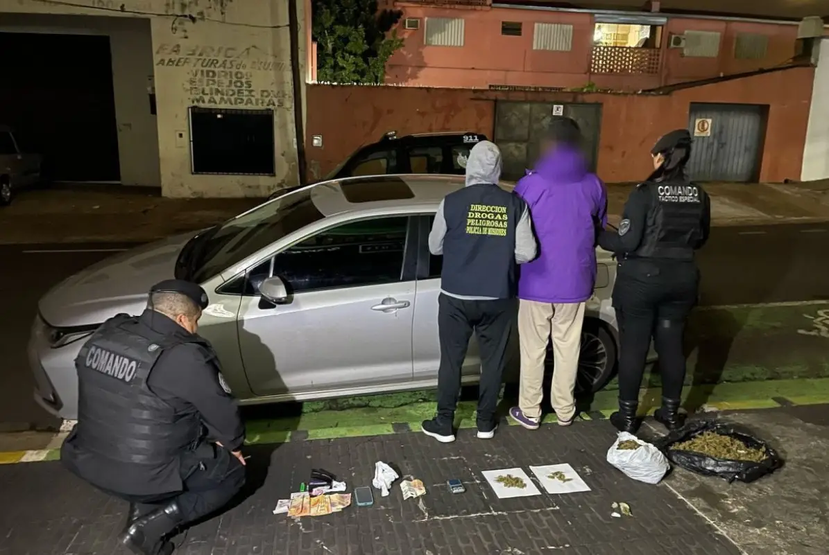 Incautaron marihuana valuadas en más de 5 millones de pesos