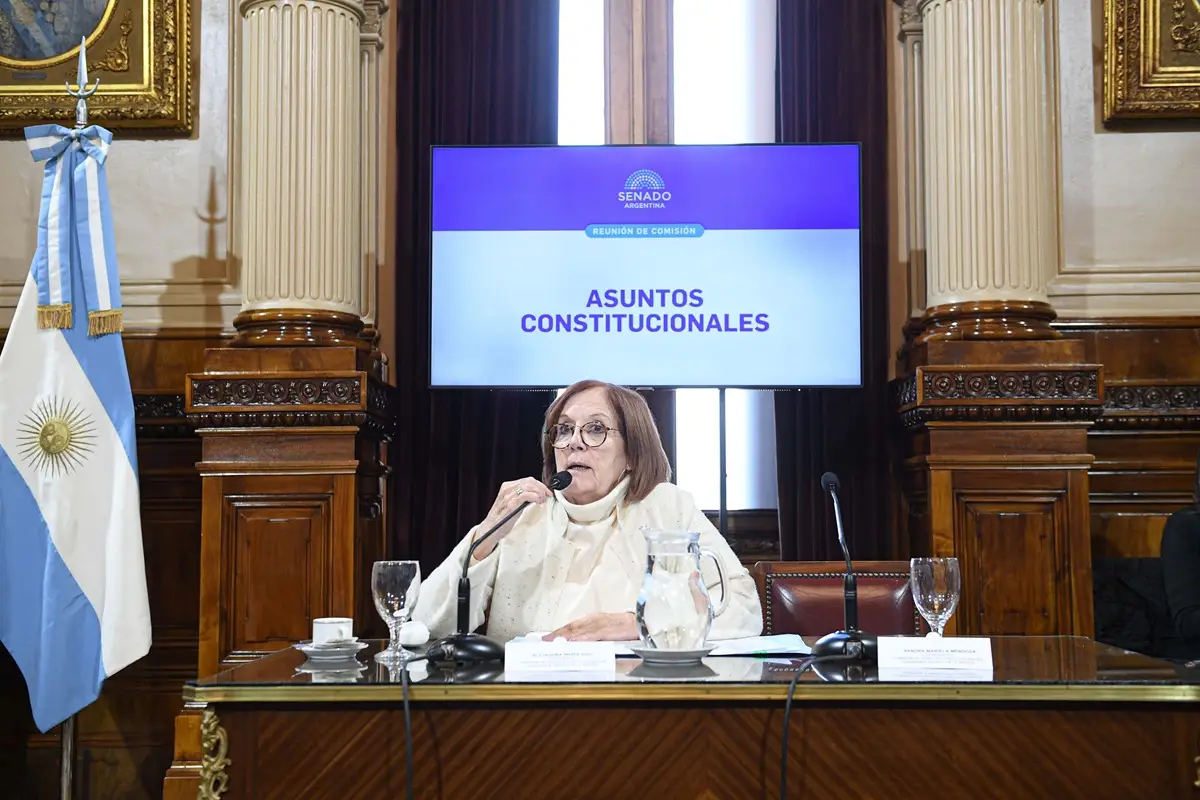 El Senado trata la reforma de la Ley de DNU, que Milei vetará