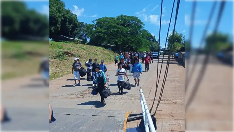Éxodo de tareferos al Brasil: “Se han ido todos”