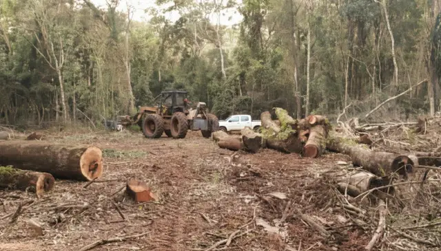 San Vicente: Identificaron al trabajador fallecido en un accidente