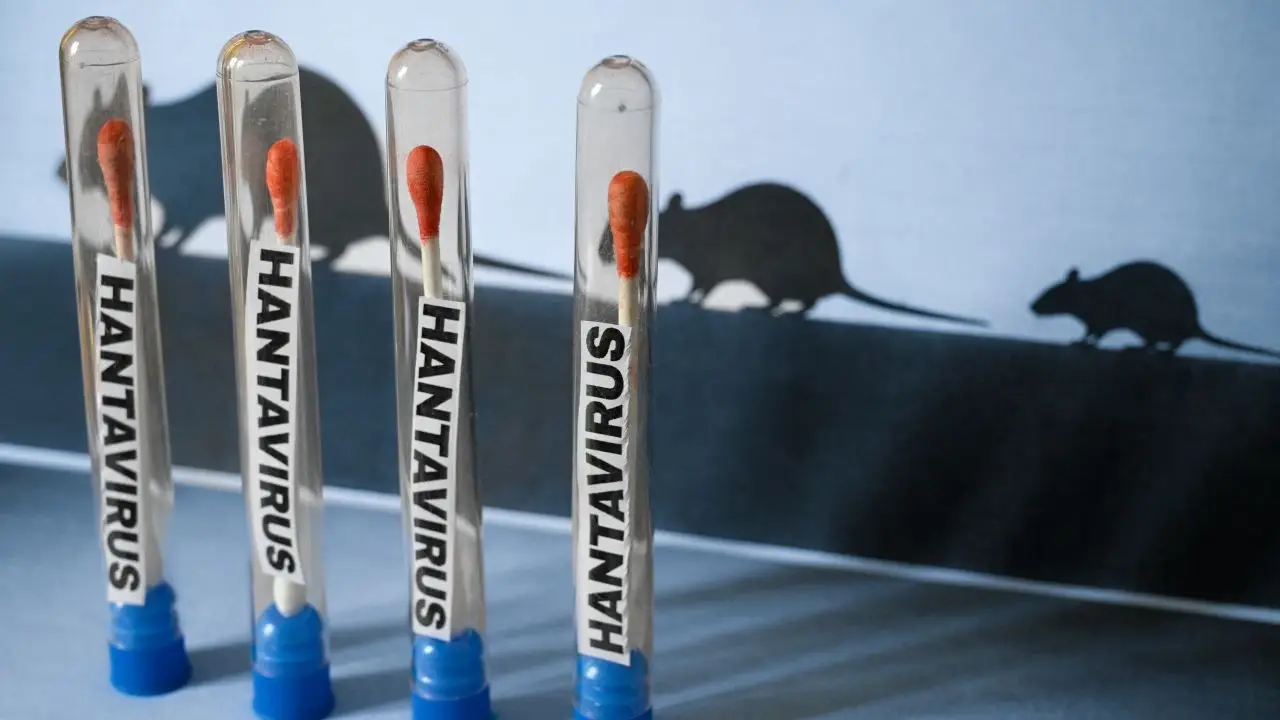 Brindan recomendaciones para prevenir el hantavirus