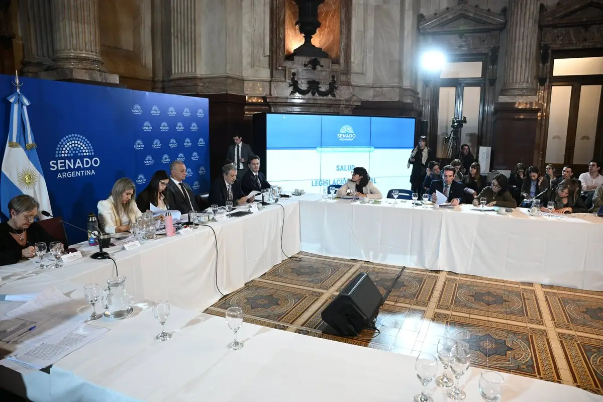 El Senado abre el debate de la reforma electoral