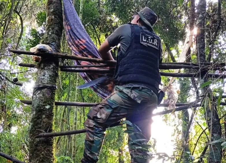 Desbaratan campamento de cazadores furtivos en San Pedro
