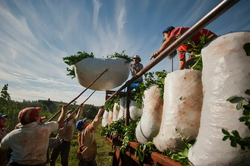 Productores realizarán un abrazo simbólico al INYM