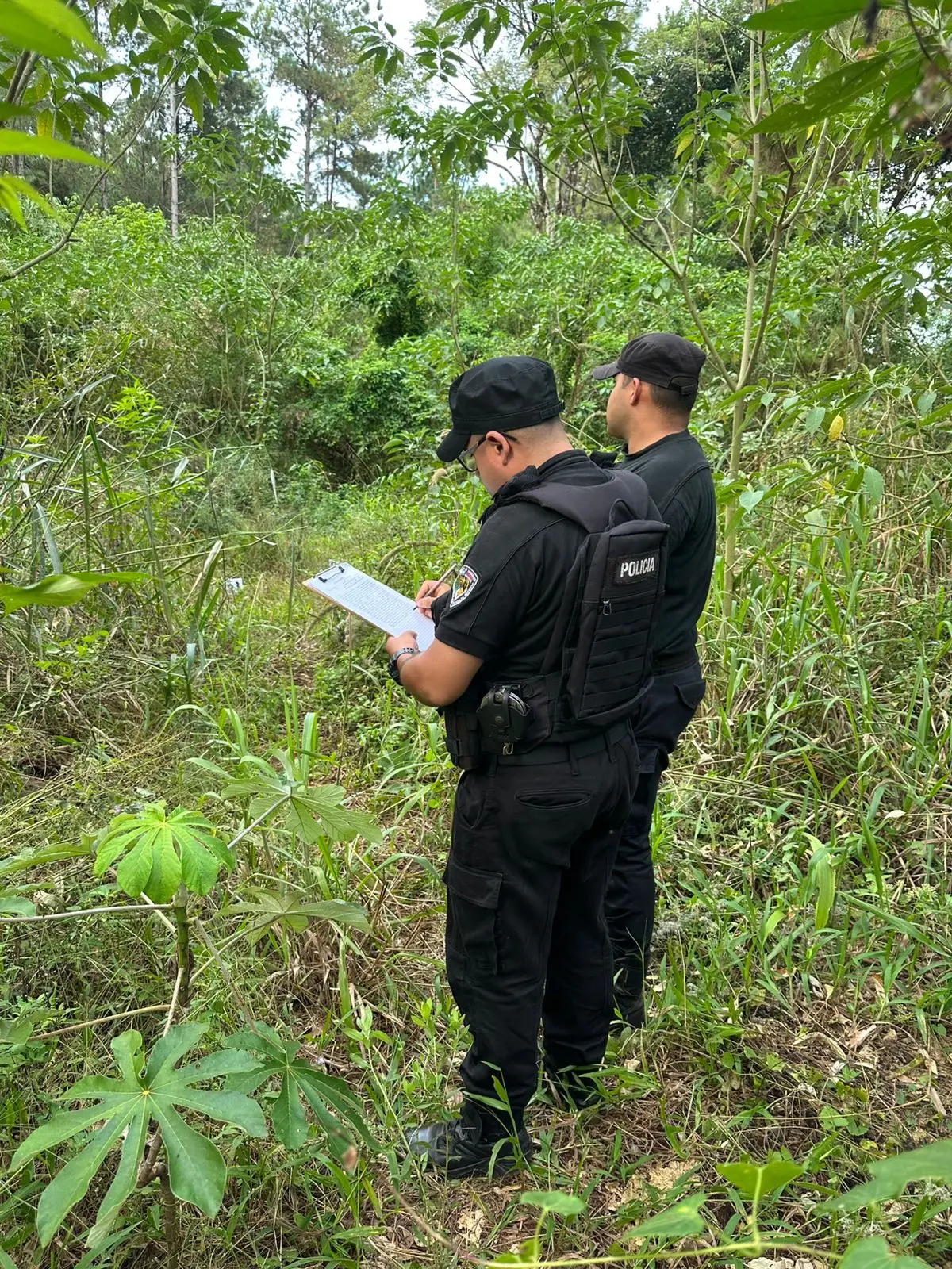 Hallaron restos óseos humanos en Puerto Esperanza