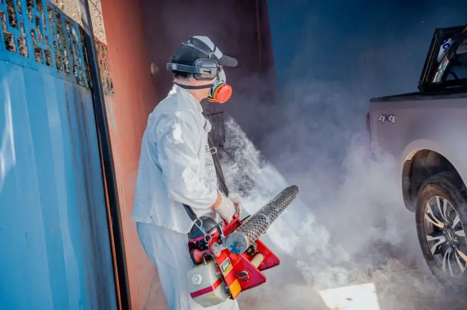 Misiones cerró la temporada estival sin casos autóctonos de dengue