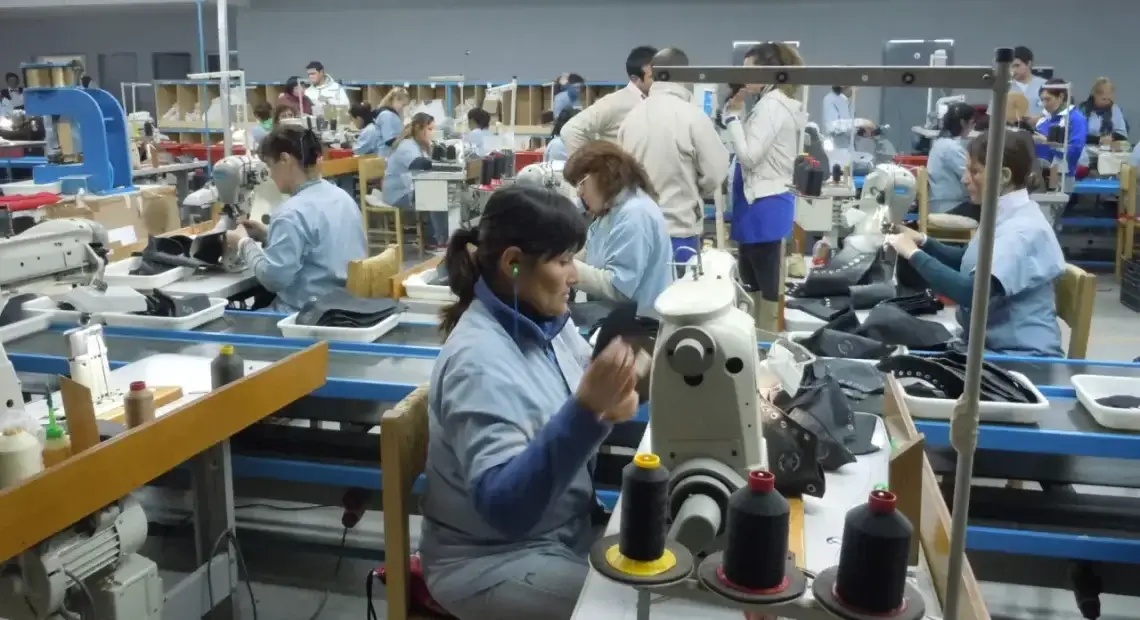 Despidos en la Dass: “El problema es una política de gobierno nacional”