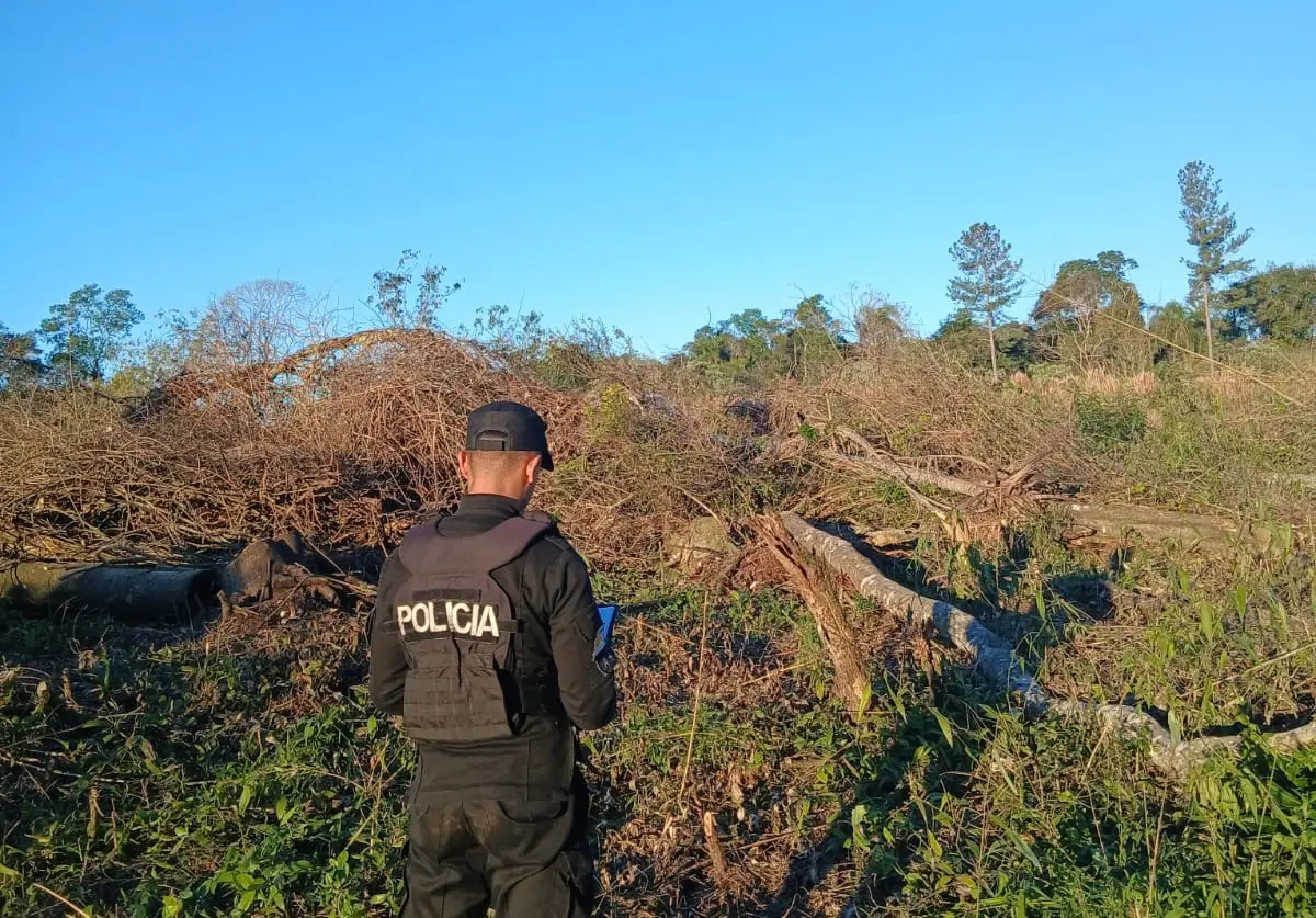 Murió un trabajador rural al ser aplastado por un árbol