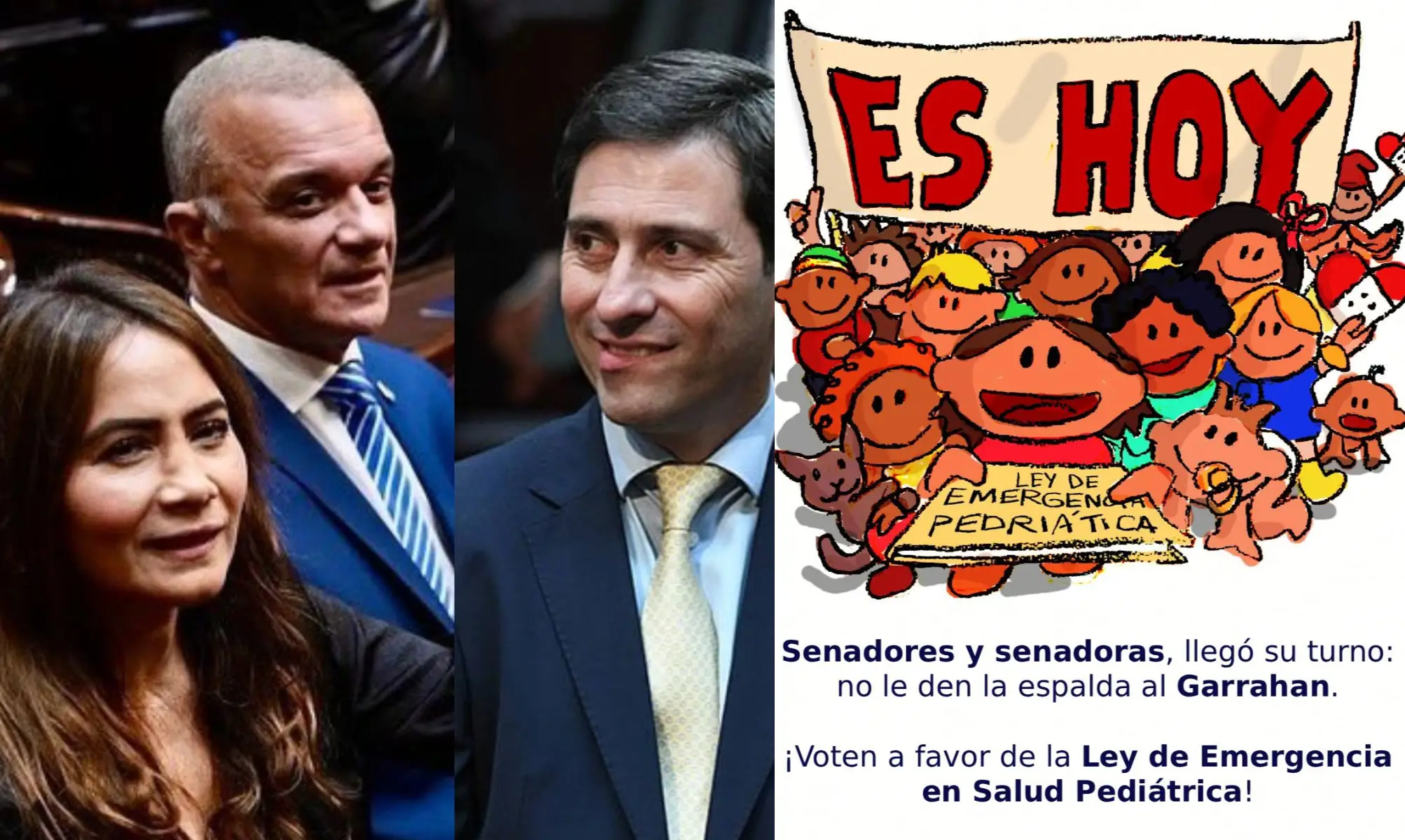 Instan a los senadores por Misiones, a votar a favor de la Emergencia Pediátrica