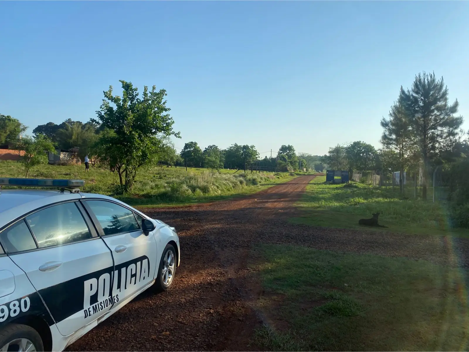 Un nene de 7 años fue atacado por dos perros pitbull y está internado