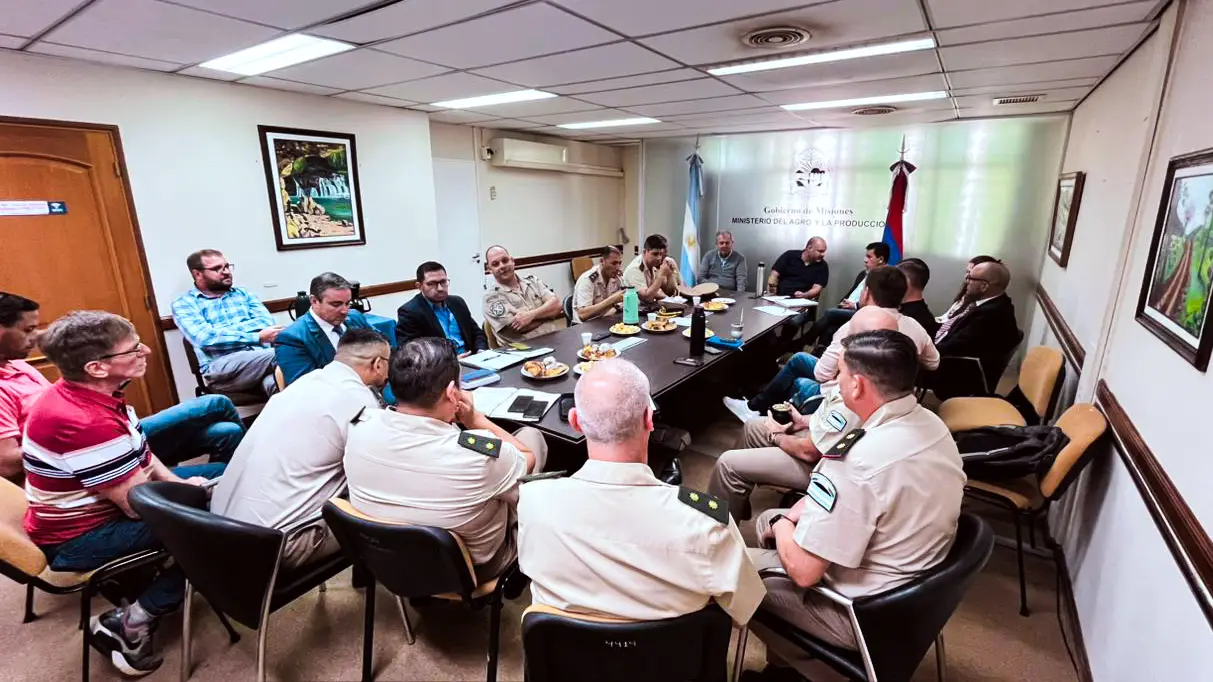 Tabaco: durante la última campaña se fugó más de la mitad de la cosecha provincial