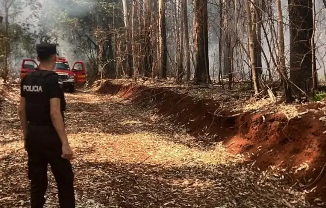 Bomberos sofocaron principio de incendio forestal en Campo Grande