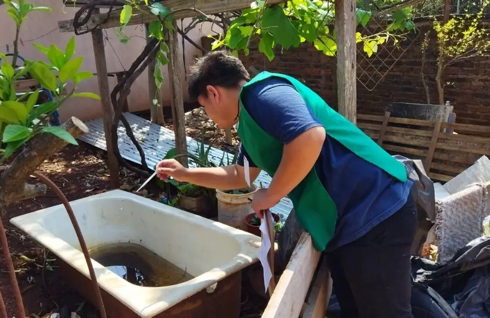 Dengue en Posadas: el 12% de las viviendas relevadas tienen criaderos