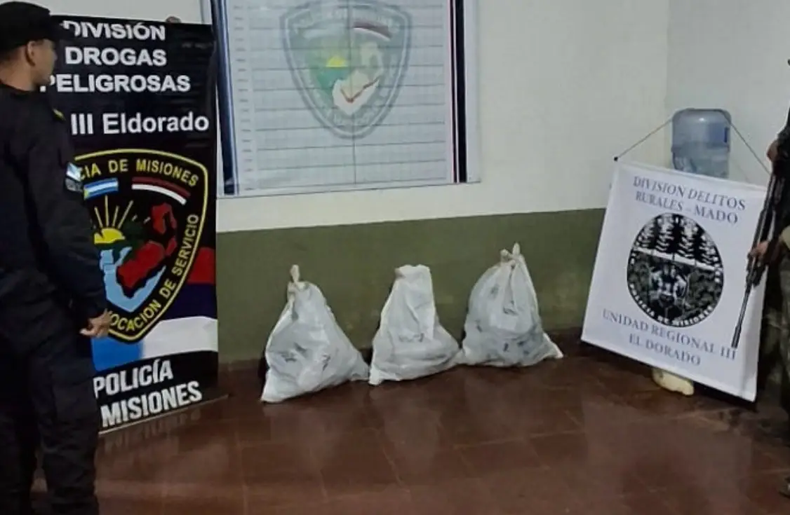 Incautaron marihuana valuada en más de $420 mil en Eldorado