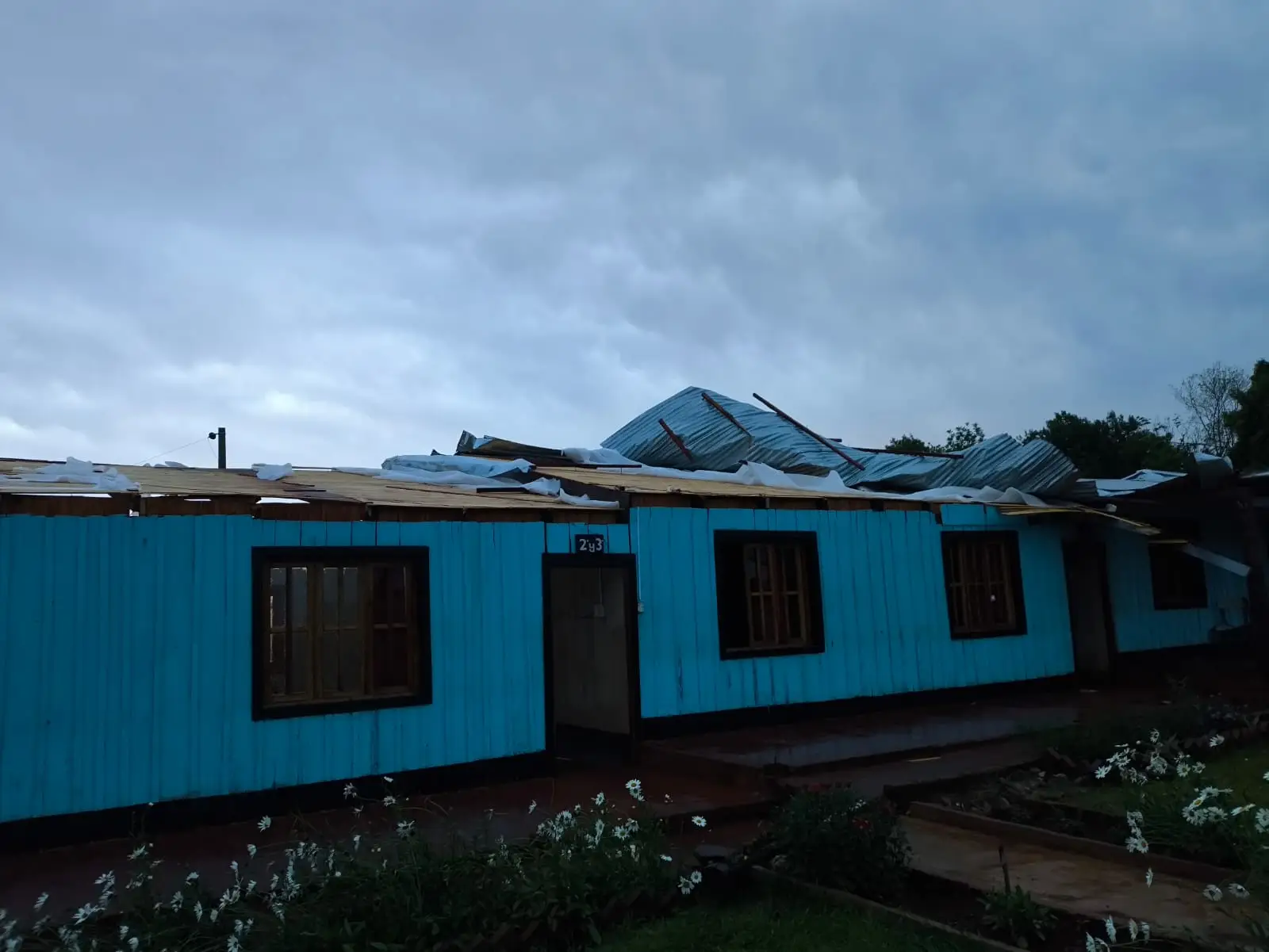 Temporal causó daños en una escuela rural y caída de árboles sobre la ruta 211